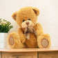 Lovely Teddy Bear